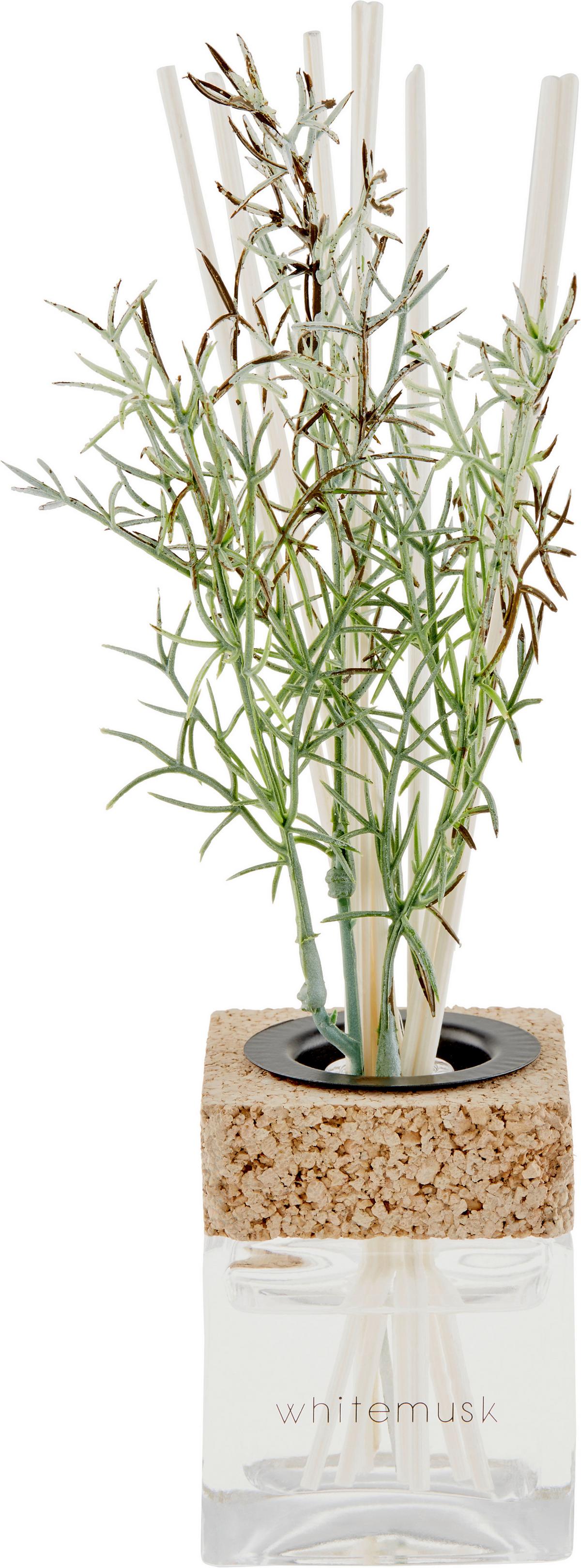 Diffúzor Eileen - zöld, Basics, műanyag/üveg (7/22/7cm) - Luca Bessoni