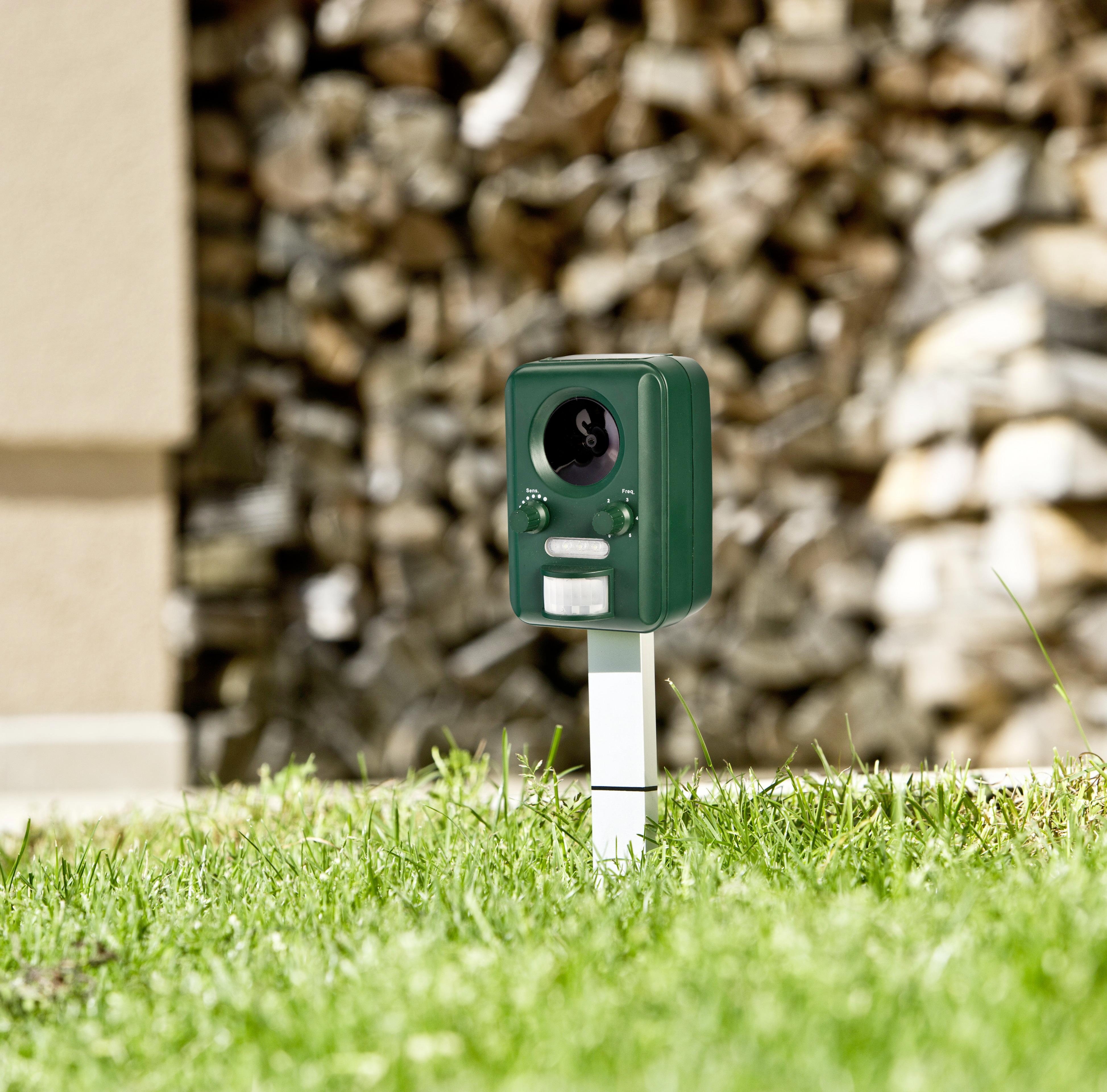 Ultraschall-tiervertreiber Abwehrgerät Solar Outdoor - Grün, Basics, Kunststoff (19/11,5/65cm)