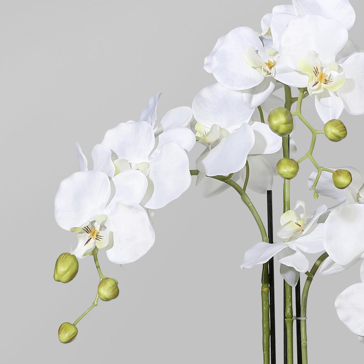 Kunstpflanze Orchidee Weiß H: 110 Cm Mit Topf - Weiß/Grün, Basics, Kunststoff (110cm) - P & B