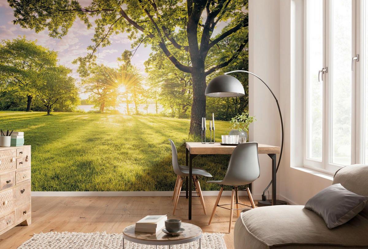 Vliestapete Psh054-Vd4 Golden Moment - Blau/Grün, Natur (400/250cm) - Komar