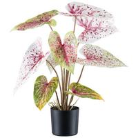 Kunstpflanze H: 55 cm - Rot/Schwarz, Design, Kunststoff (55cm) - P & B