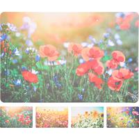 Platzdeckchen Platzset Pp - Multicolor, Basics, Kunststoff (43,5/28,5/0,1cm)