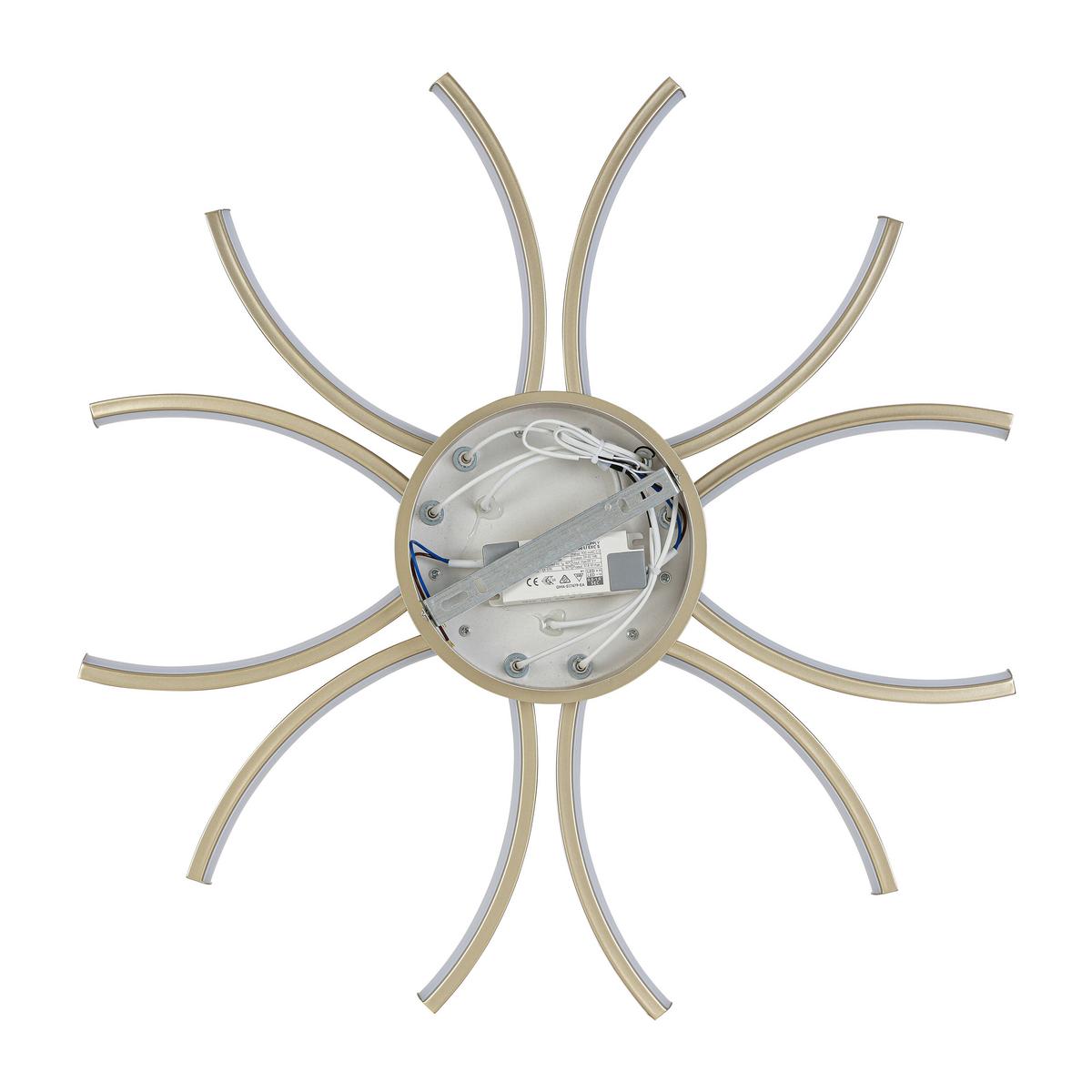 LED-DECKENLEUCHTE CYRUS - Champagner, Basics, Kunststoff/Metall (60/8,5cm) - Luca Bessoni