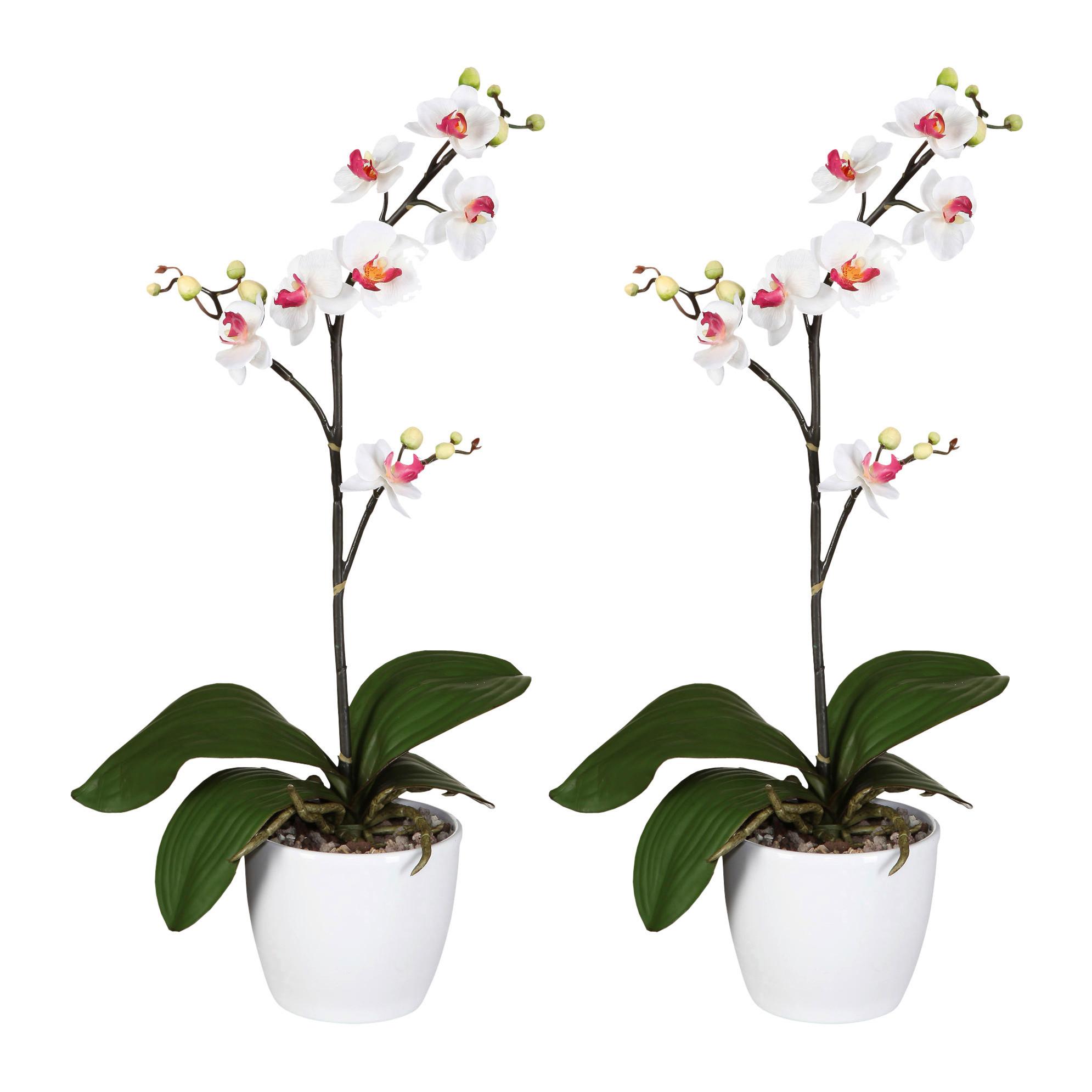 Kunstpflanze Orchideen Weiß-Rosa,topf: Weiß, H: 55 cm - Rosa/Weiß, Design, Keramik/Kunststoff (55cm) - P & B