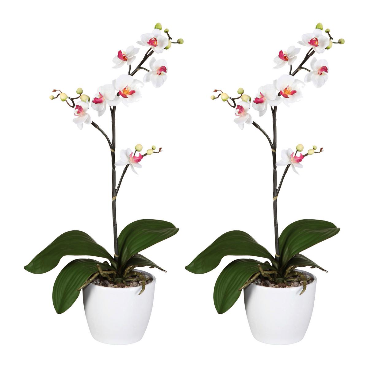 Kunstpflanze Orchideen Weiß-Rosa,topf: Weiß, H: 55 cm - Rosa/Weiß, Design, Keramik/Kunststoff (55cm) - P & B