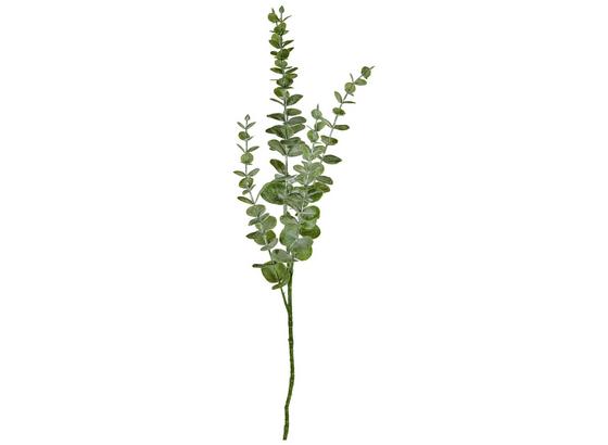 Eukalyptuszweig 73 cm - Grau/Grün, Natur, Kunststoff (73cm) Eukalyptuszweig 73 cm - Grau/Grün, Natur, Kunststoff (73cm)