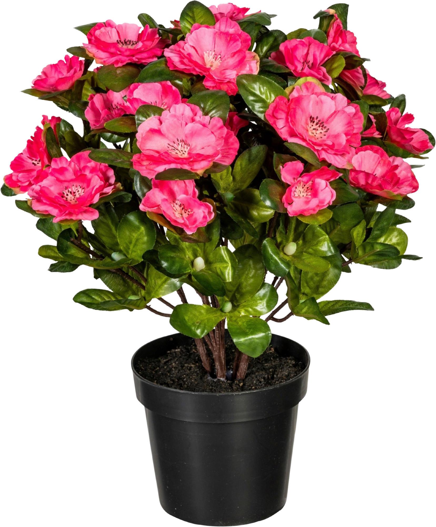 Kunstpflanze Blühpflanzen Grün/Dunkelrosa, 32 cm - Dunkelrosa/Grün, Design, Kunststoff (32cm) - P & B