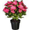 Kunstpflanze Blühpflanzen Grün/Dunkelrosa, 32 cm - Dunkelrosa/Grün, Design, Kunststoff (32cm) - P & B