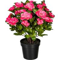 Kunstpflanze Blühpflanzen Grün/Dunkelrosa, 32 cm - Dunkelrosa/Grün, Design, Kunststoff (32cm) - P & B