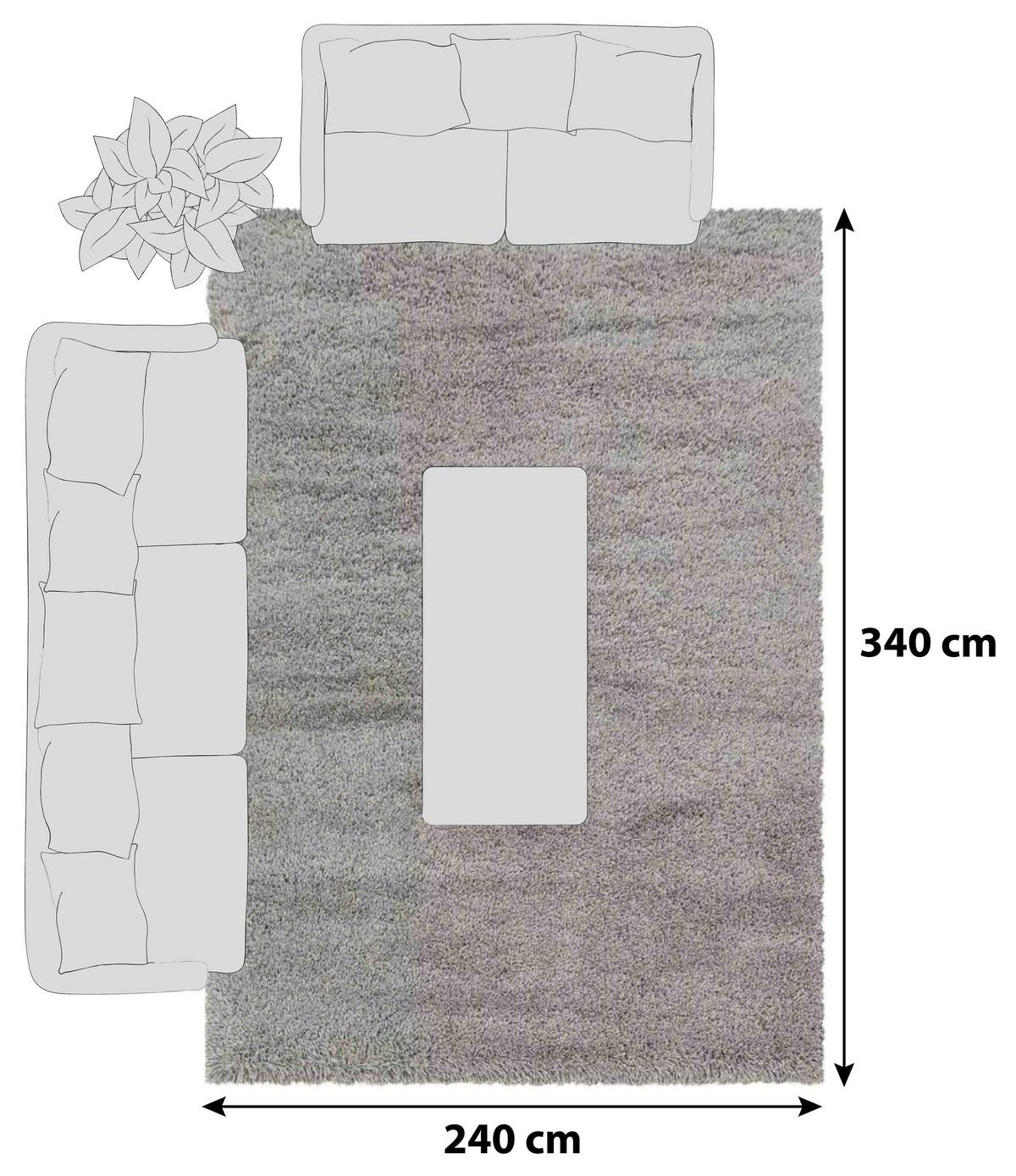 Hochflor Teppich Beige Naturfaser Fluffy 240x340 cm - Beige, Basics, Textil (240/340cm)
