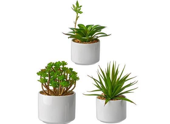 Rostlina Umělá Helena - zelená, umělá hmota (18cm) - Mömax modern living Rostlina Umělá Helena - zelená, umělá hmota (18cm) - Mömax modern living