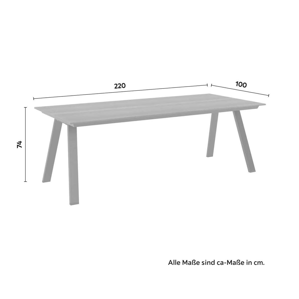 ZAHRADNÍ STŮL BERGEN - černá/antracitová, Moderní, kov/plast (220/74/100cm) - Mömax