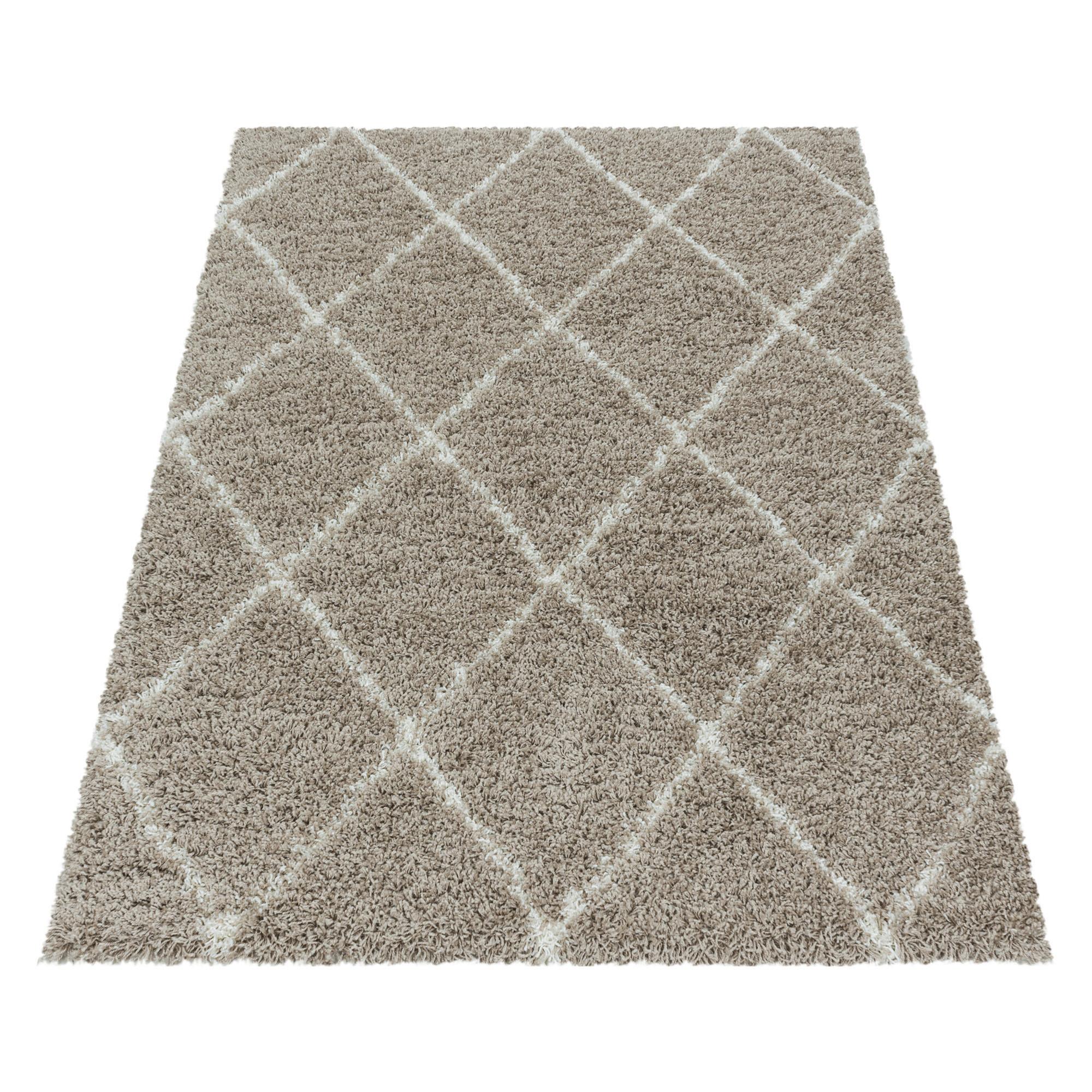Hochflor Teppich Beige Alvor 60x110 cm - Beige, Basics, Textil (60/110cm)
