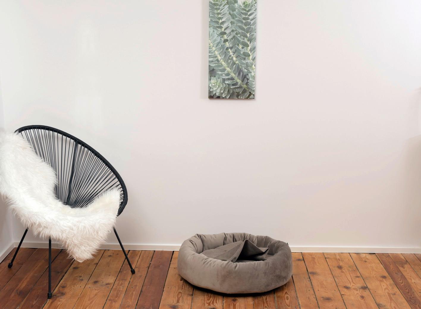 Hundebett Charly Taupe L: 50 cm - Taupe, KONVENTIONELL, Textil (50/50/15cm)