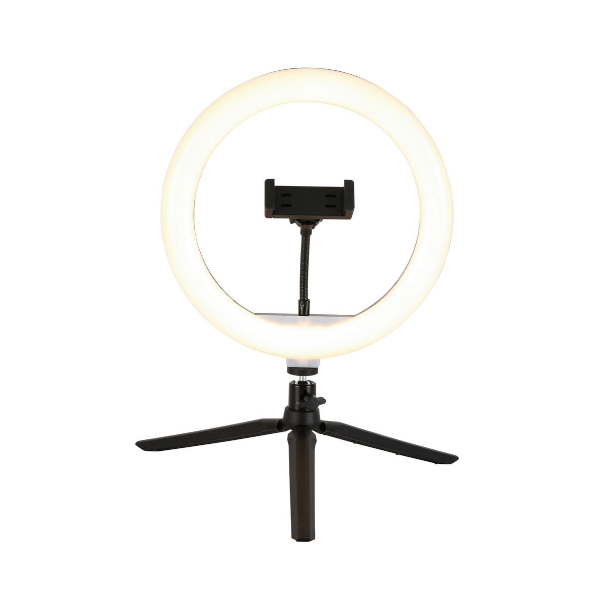 Dekoračné svietidlo Tofo, P/V: ca 26/40cm, čierna - čierna, Modern, kov/plast (24,5/38cm) - Mömax