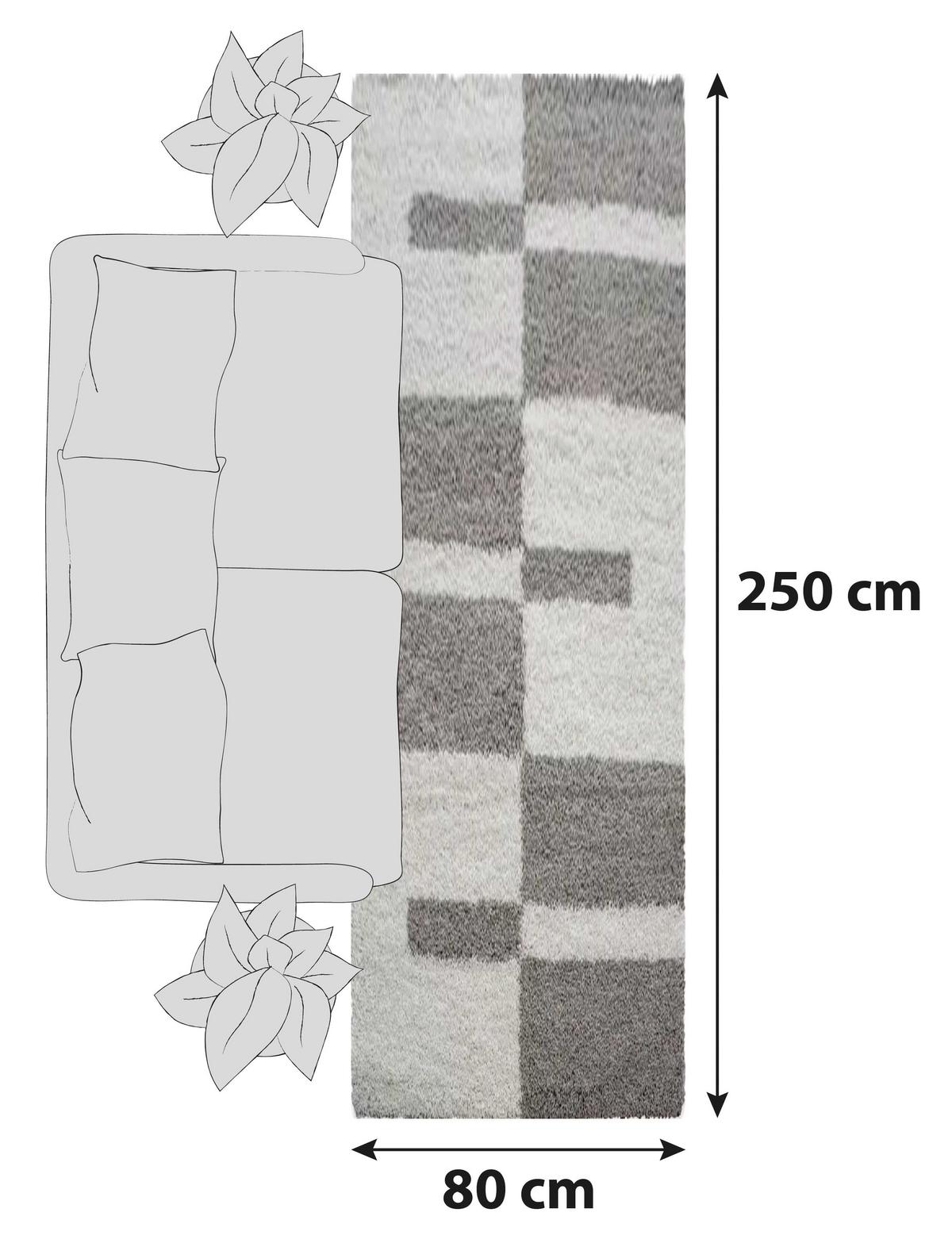 Hochflor Teppich Beige Gala 80x250 cm - Beige, Design, Textil (80/250cm)