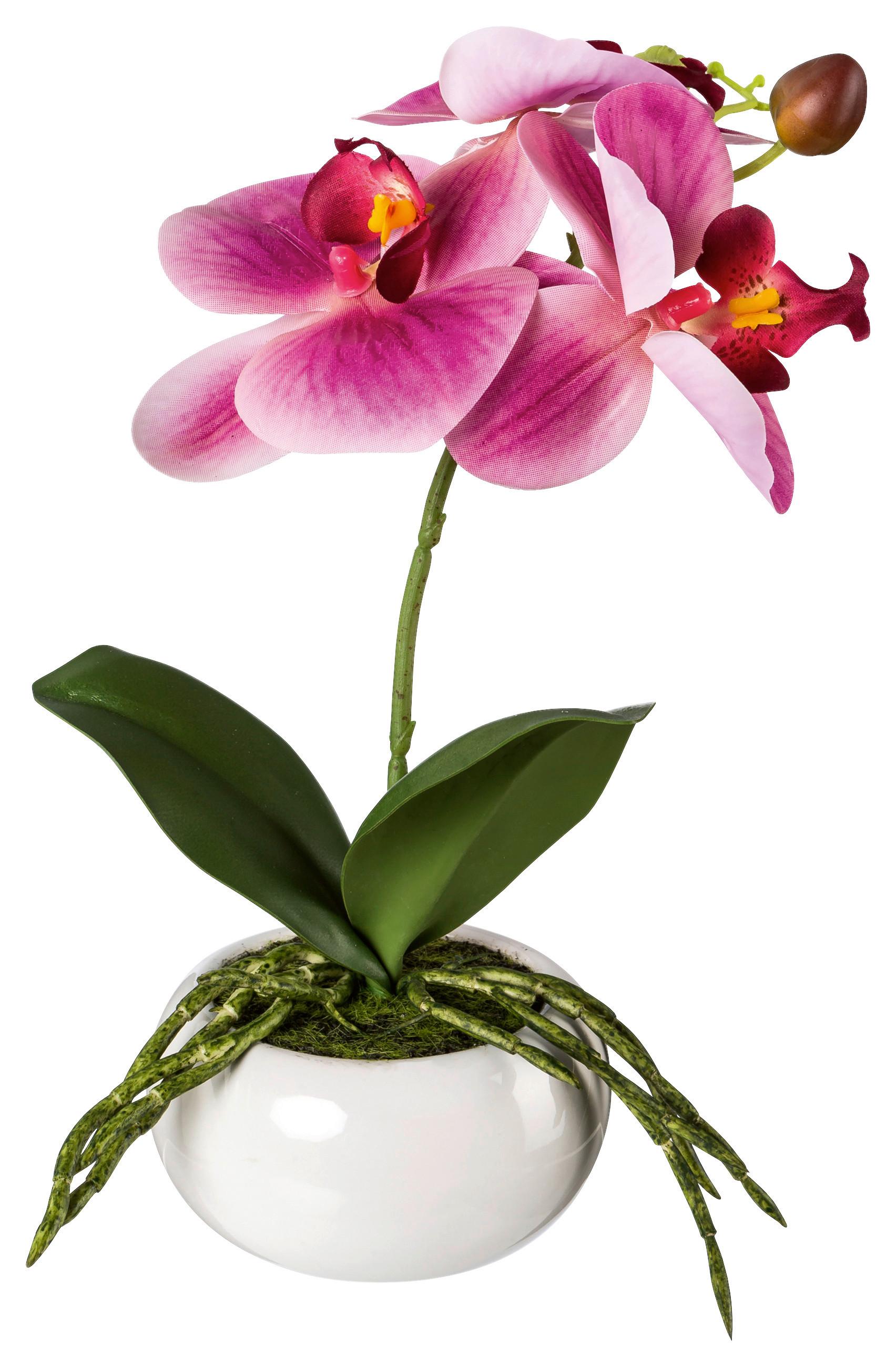 Kunstpflanze Orchidee Rosa, inkl. Topf, H: 27 cm - Dunkelrosa/Rosa, Design, Keramik/Kunststoff (27cm)