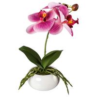 Kunstpflanze Orchidee Rosa, inkl. Topf, H: 27 cm - Dunkelrosa/Rosa, Design, Keramik/Kunststoff (27cm)