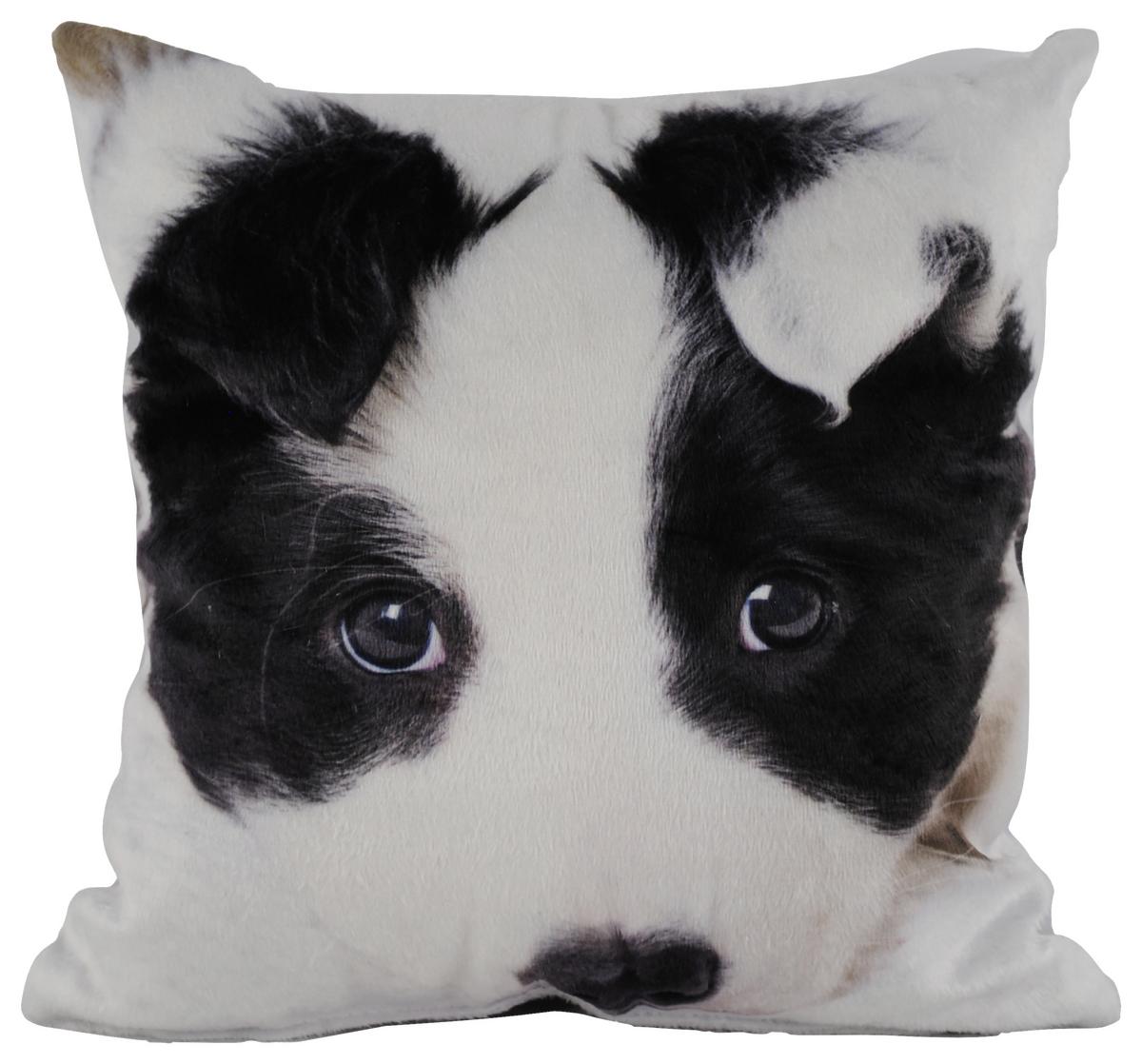 Zierkissen Xenia 25x25 Cm Samtoptik Tiermotive - Multicolor, KONVENTIONELL, Textil (25/25cm) - Ondega