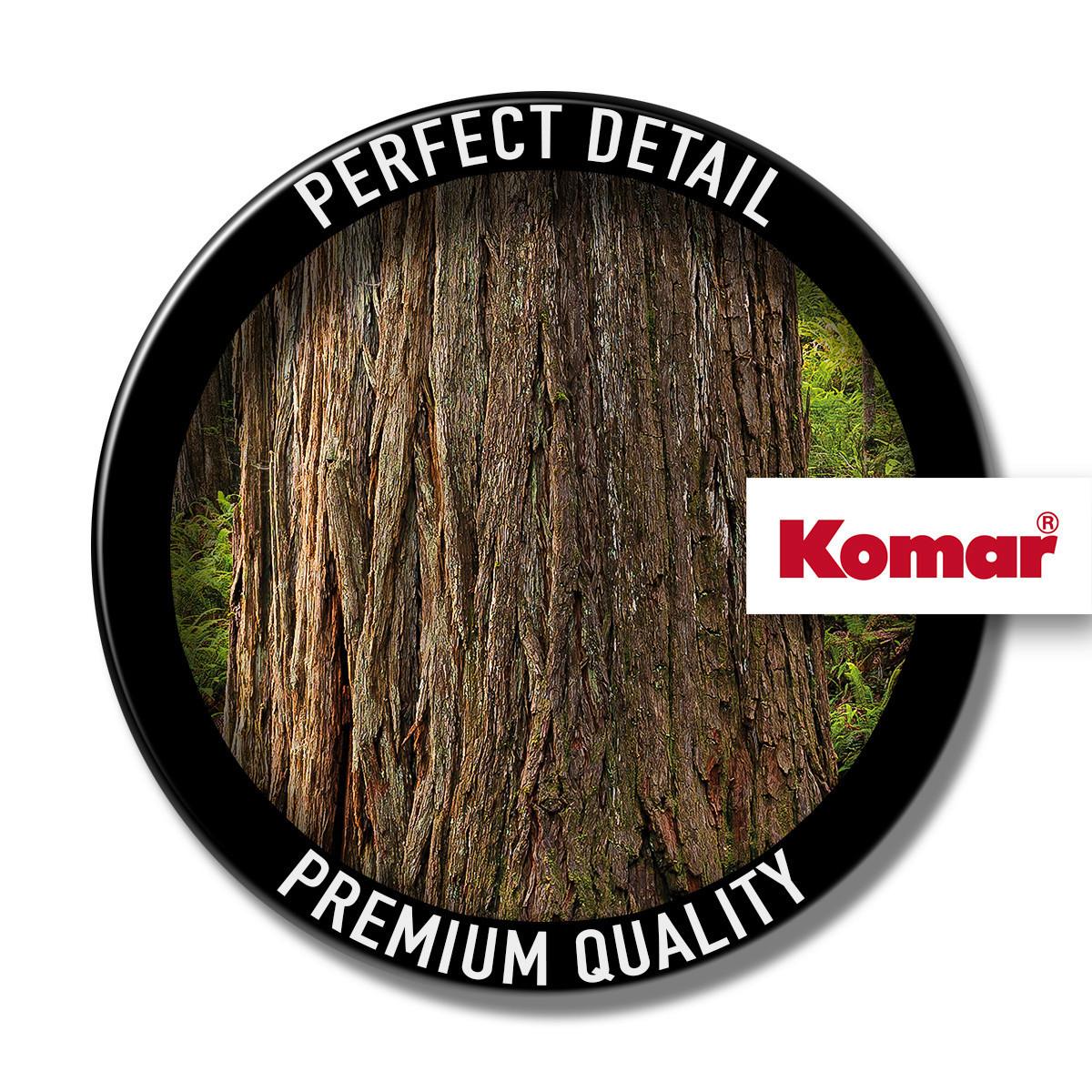 Fototapete Redwood Trail - Multicolor, Trend, Textil (450/280cm)