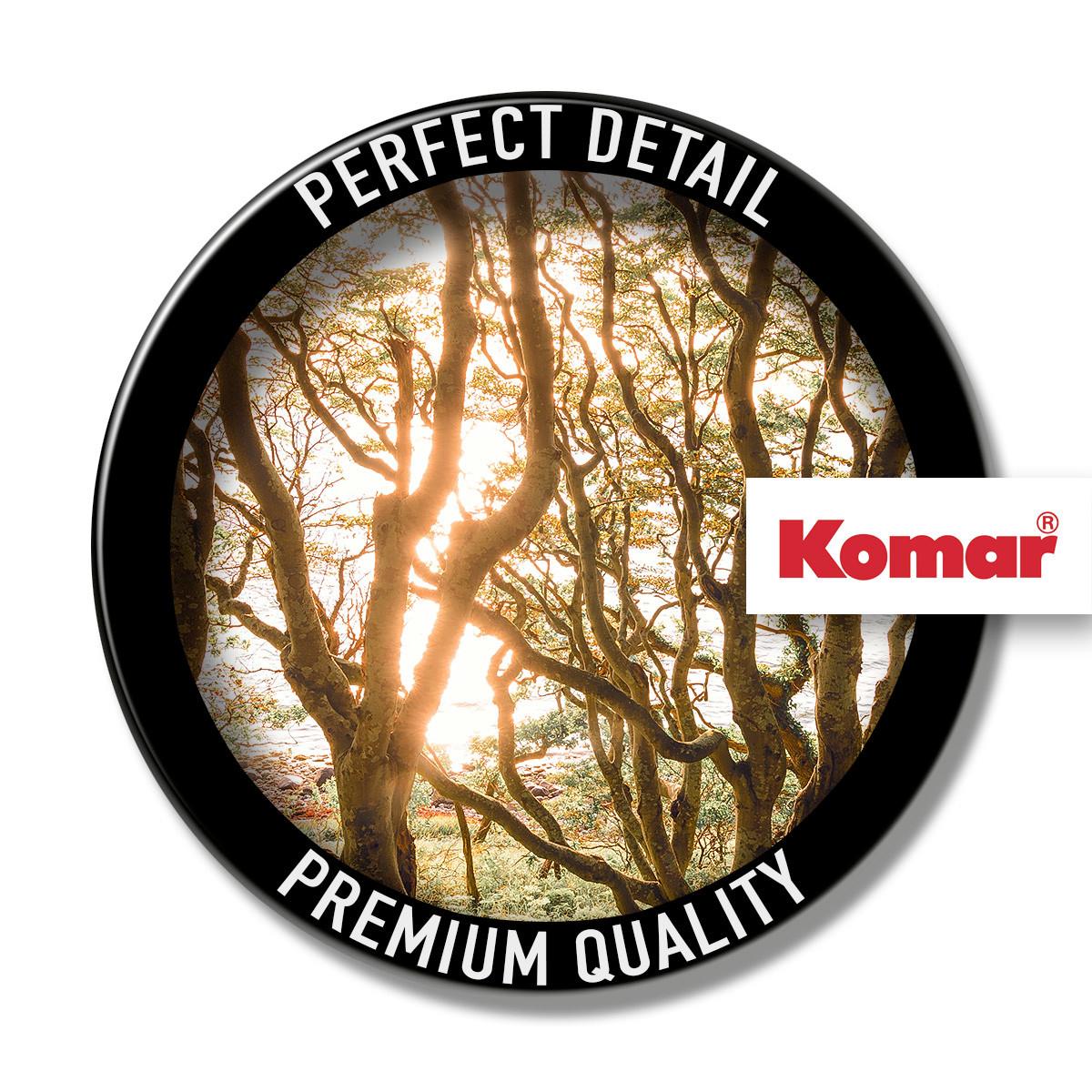 Vliestapete Bold Birch - Multicolor, Basics (400/250cm) - Komar