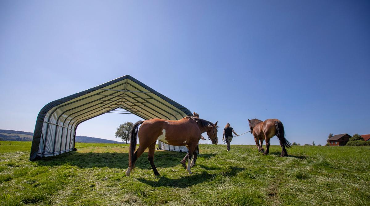 Zeltgarage Shelterlogic - Dunkelgrün, Basics, Kunststoff (730/670/380cm)