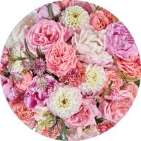 Fototapete Beautiful Blossoms - Multicolor, Trend (125cm)