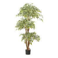Kunstpflanze Ficus Benjamina H: 165 cm mit Naturstamm - Schwarz/Braun, Design, Kunststoff (165cm)