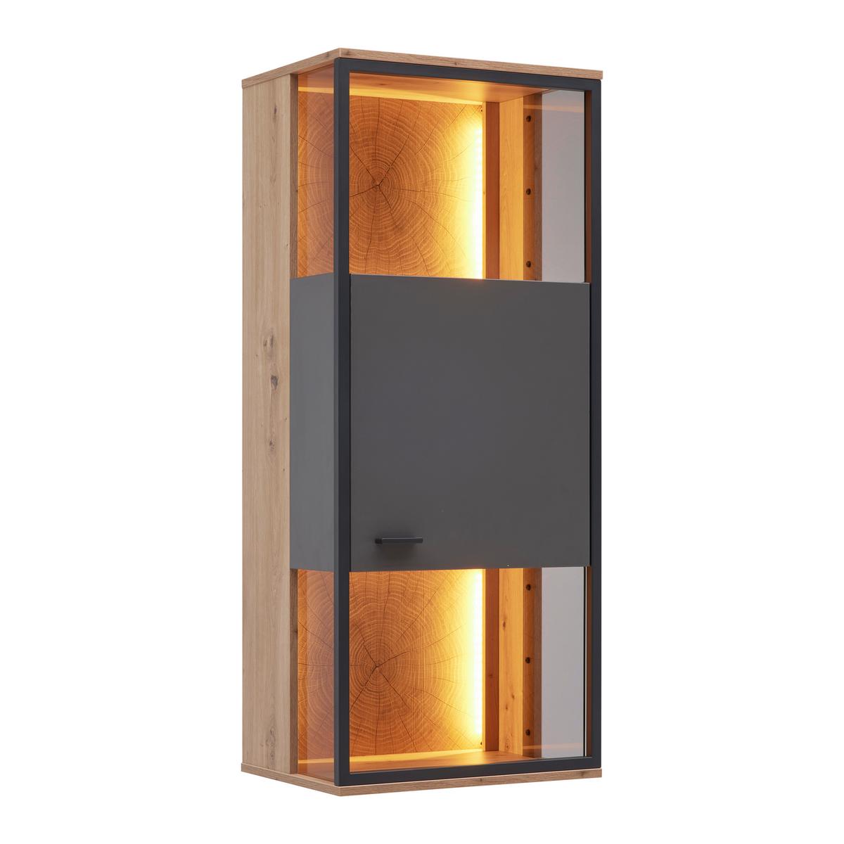 ZÁVĚSNÁ VITRÍNA FLORENZ - šedá/černá, Moderní, kov/kompozitní dřevo (50/119,9/38cm) - Premium Living