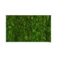 MOOSBILD Grün B: 100 cm - Weiß/Grün, Basics, Naturmaterialien/Holz (100/60/7cm)