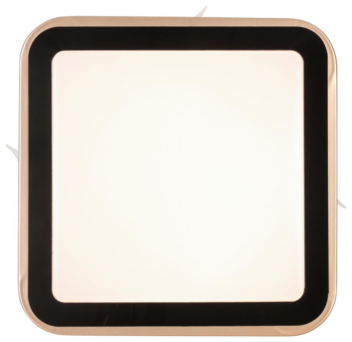 STROPNÍ LED SVÍTIDLO RONDO - bílá/černá, Romantický / Rustikální, kov/plast (27/27/8cm) - Modern Living