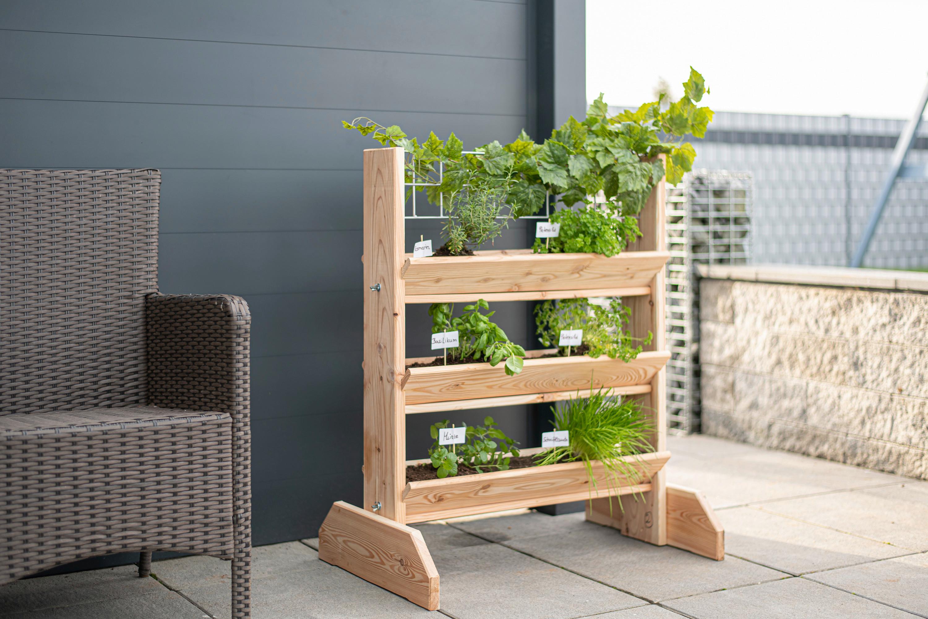 Gartenregal Kräuterregal L - Lärchefarben, Basics, Holz (80/95/50cm)