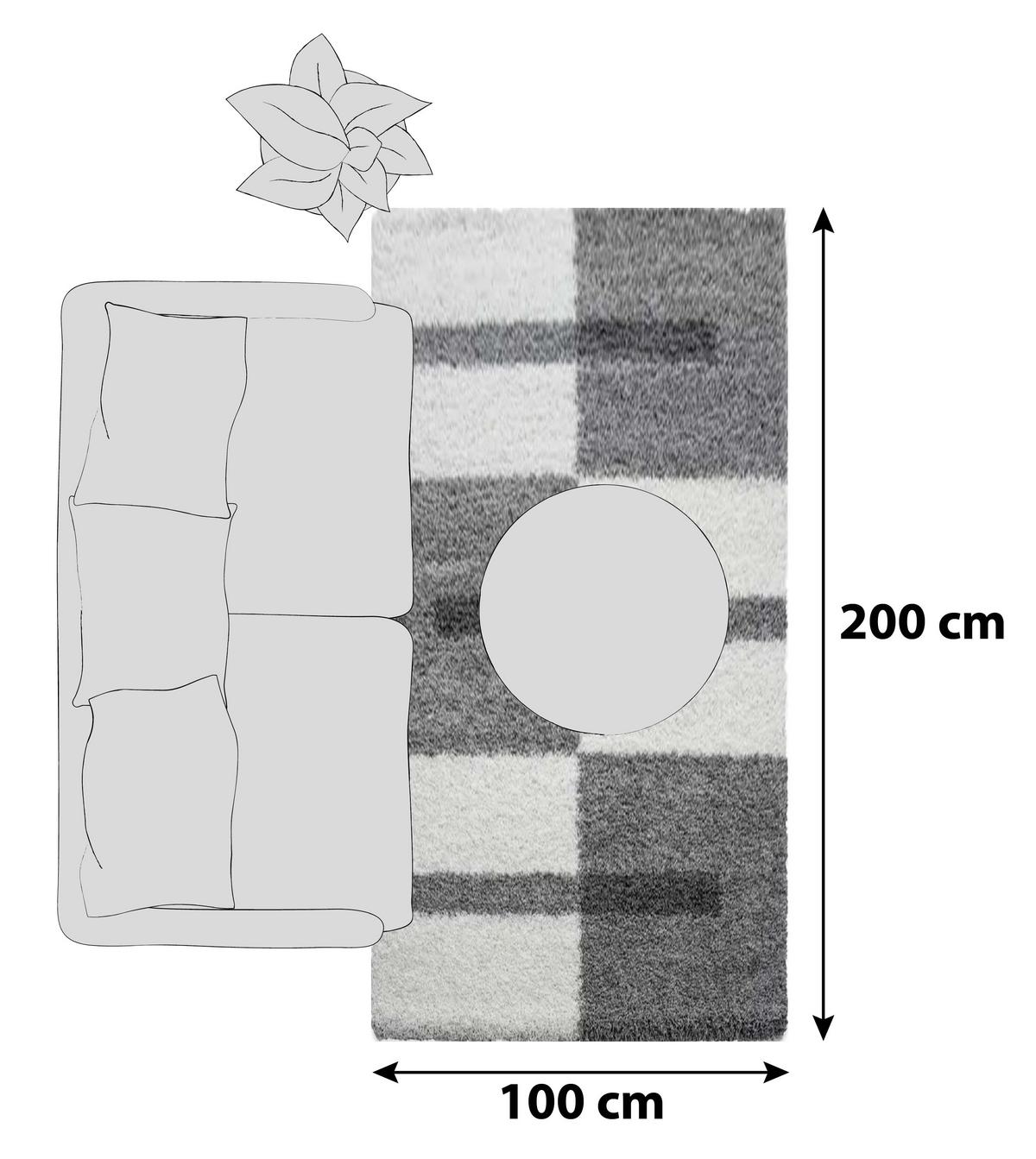 Hochflor Teppich Hellgrau Gala 100x200 cm - Hellgrau, Design, Textil (100/200cm)
