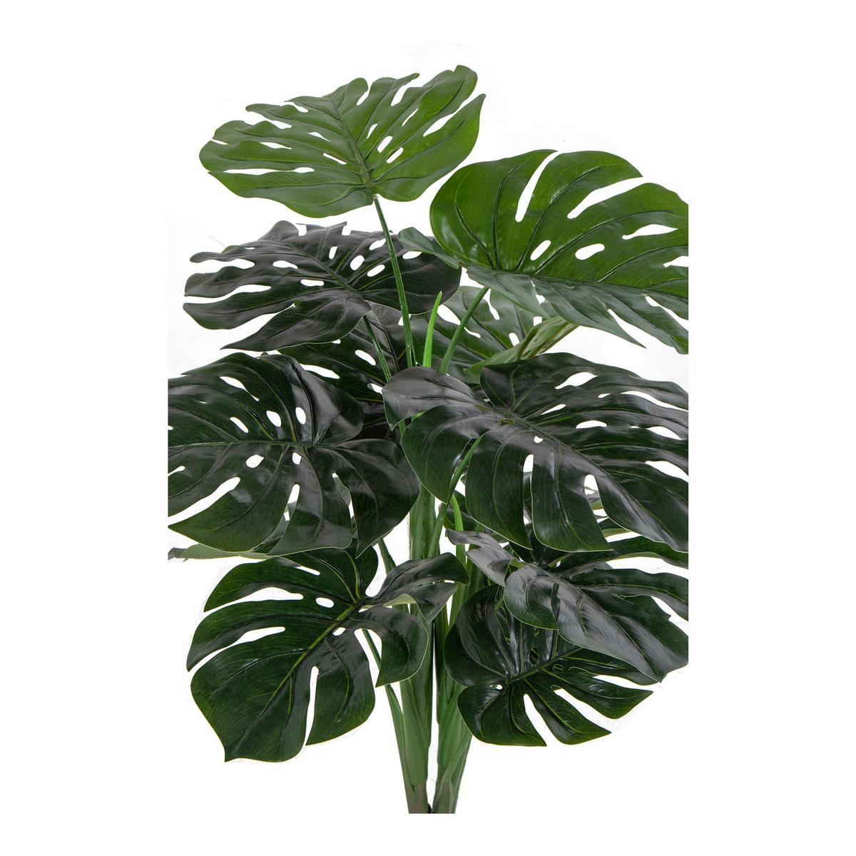Kunstpflanze Monstera Grün Schwarz B: 18 Cm - Schwarz/Grün, Design (18/90/17cm)