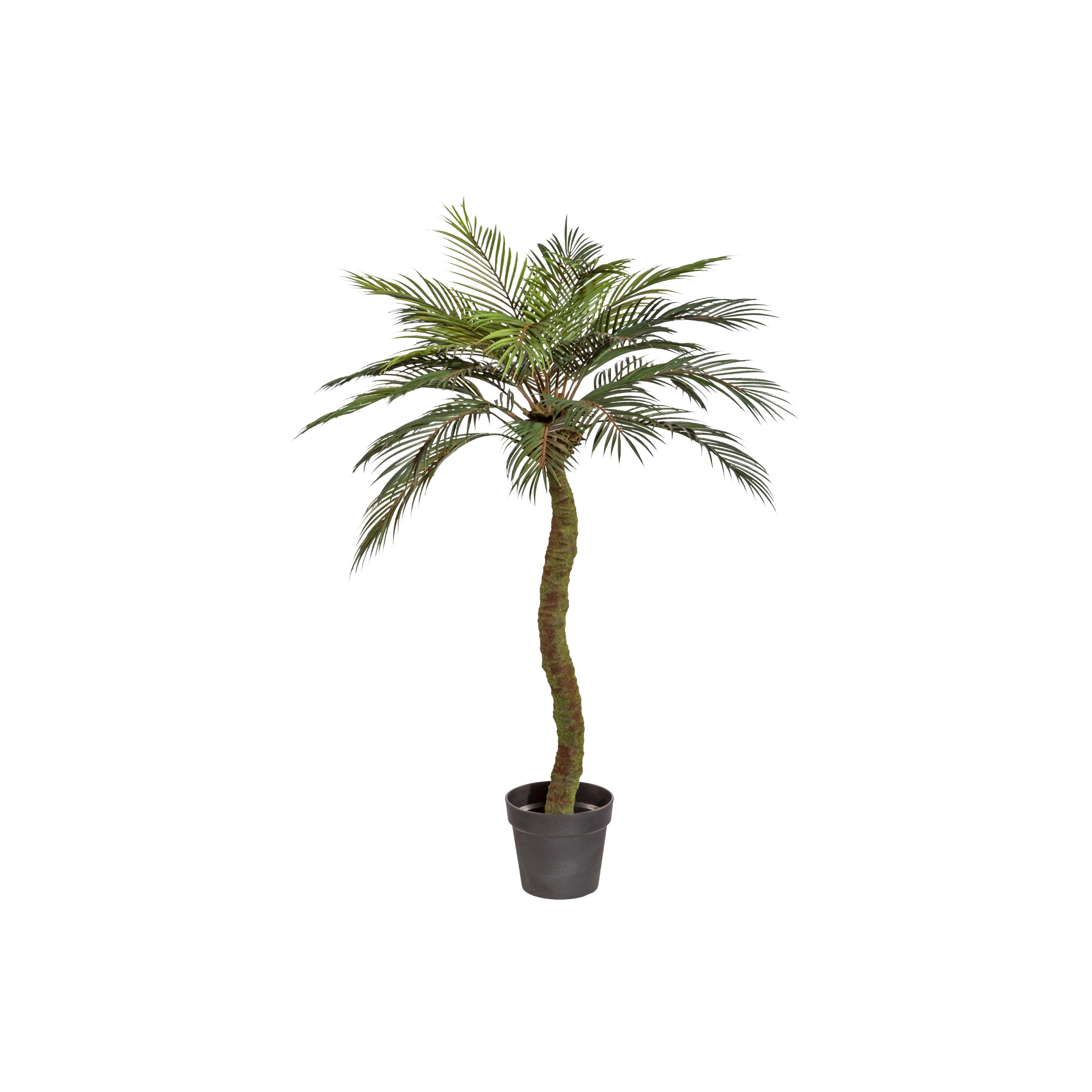 Kunstpflanze Palmen Braun/grün/schwarz, 120 Cm - Schwarz/Braun, Design, Kunststoff (120cm) - P & B