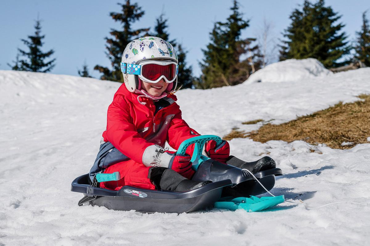 Bob mit Lenkrad Skipper inkl. Zugseil und Bremssystem Blau - KONVENTIONELL, Kunststoff (98/23/45cm)