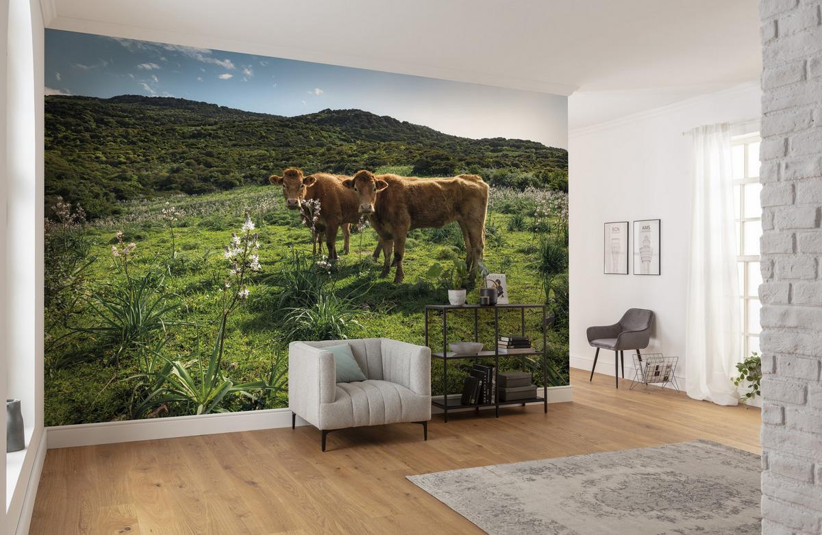 Fototapete Kuhparadies - Multicolor, Trend, Textil (450/280cm)