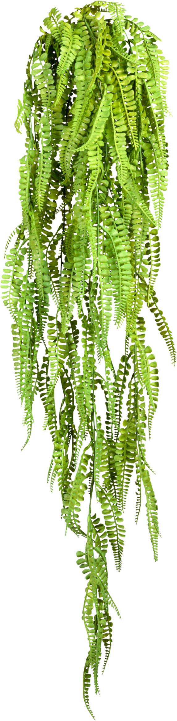 Kunstpflanze Hängepflanzen Grün, 105 cm - Grün, Design, Kunststoff (105cm) - P & B
