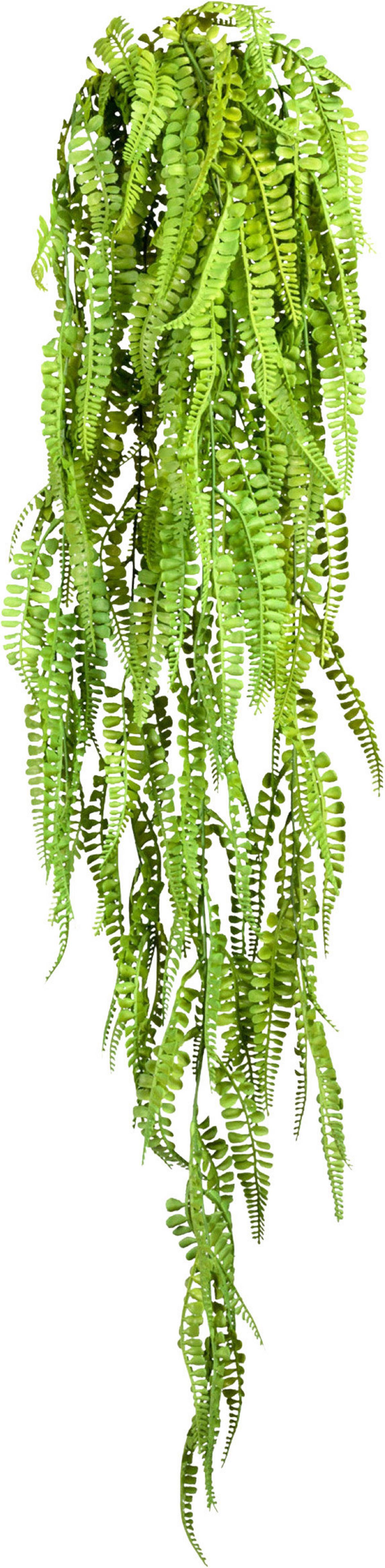 Kunstpflanze Hängepflanzen Grün, 105 cm - Grün, Design, Kunststoff (105cm) - P & B