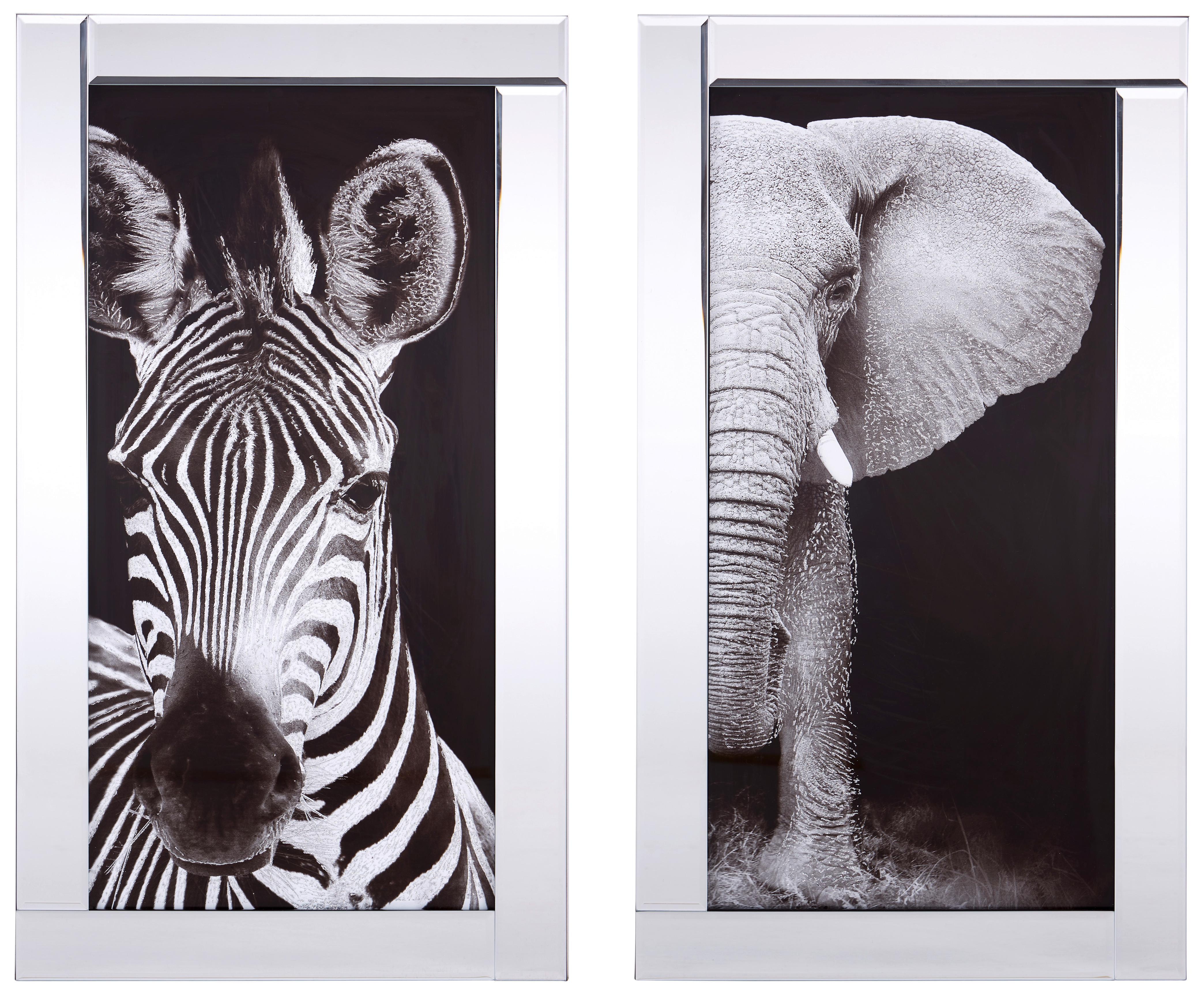 Bild Viska Tiere Schwarz/weiß 38x68 Cm - Schwarz/Weiß, Basics, Glas/Papier (38/68/2,3cm) - Luca Bessoni