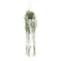 Kunstpflanze, Tillandsie Grün, inkl. Topf, H: 80 cm - Schwarz/Grün, Design, Kunststoff (80cm) - P & B