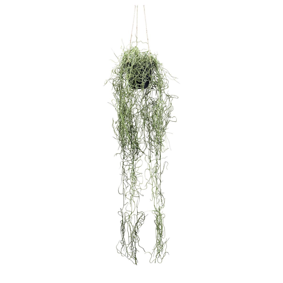 Kunstpflanze, Tillandsie Grün, inkl. Topf, H: 80 cm - Schwarz/Grün, Design, Kunststoff (80cm) - P & B