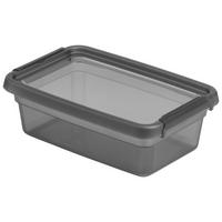 ÚLOŽNÝ BOX BLACKY - CA. 3L - priehľadné/čierna, Modern, plast (19/28/9cm) - Mömax