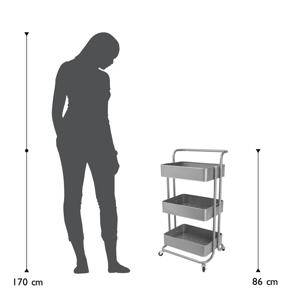 Servierwagen Danao - Silberfarben/Silbereichenfarben, Basics, Metall (43/32/86cm) - Echtwerk