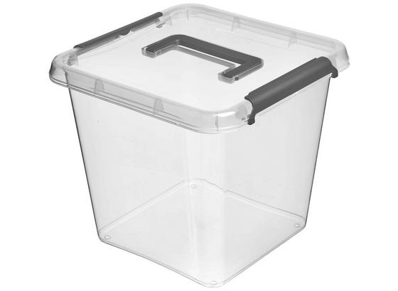 Aufbewahrungsbox Larissa - Transparent, Basics, Kunststoff (29/29/26cm) Aufbewahrungsbox Larissa - Transparent, Basics, Kunststoff (29/29/26cm)