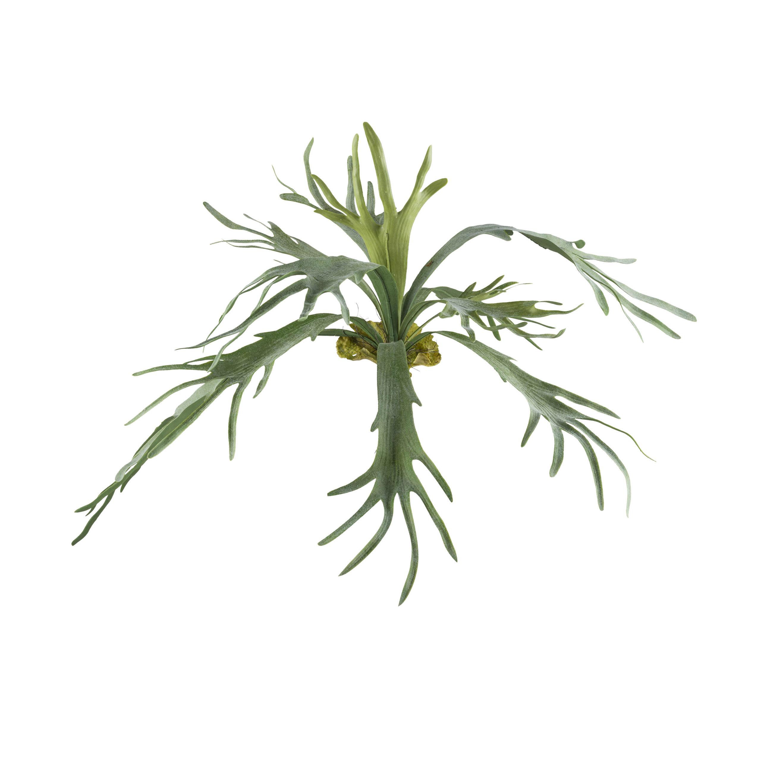 Kunstpflanze Grün, 80 cm - Grün, Design, Kunststoff (80cm) - P & B