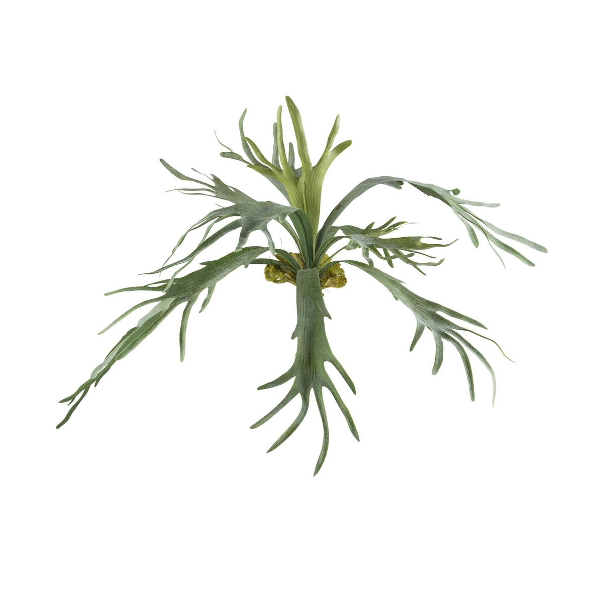 Kunstpflanze Grün, 80 cm - Grün, Design, Kunststoff (80cm) - P & B