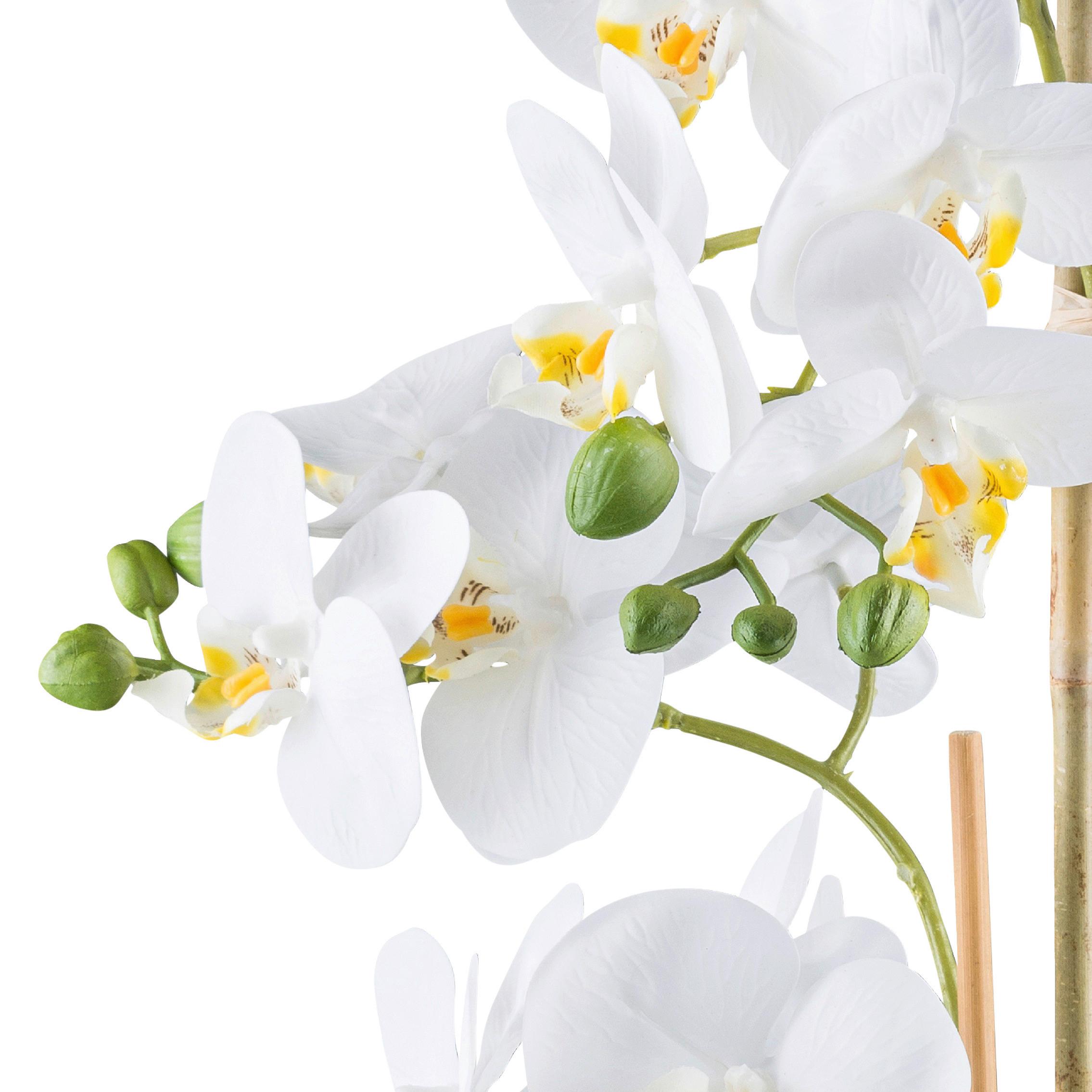 Kunstpflanze Orchideen Grün/Silberfarben/Weiß, 62 cm - Silberfarben/Weiß, Design, Keramik/Kunststoff (62cm) - P & B
