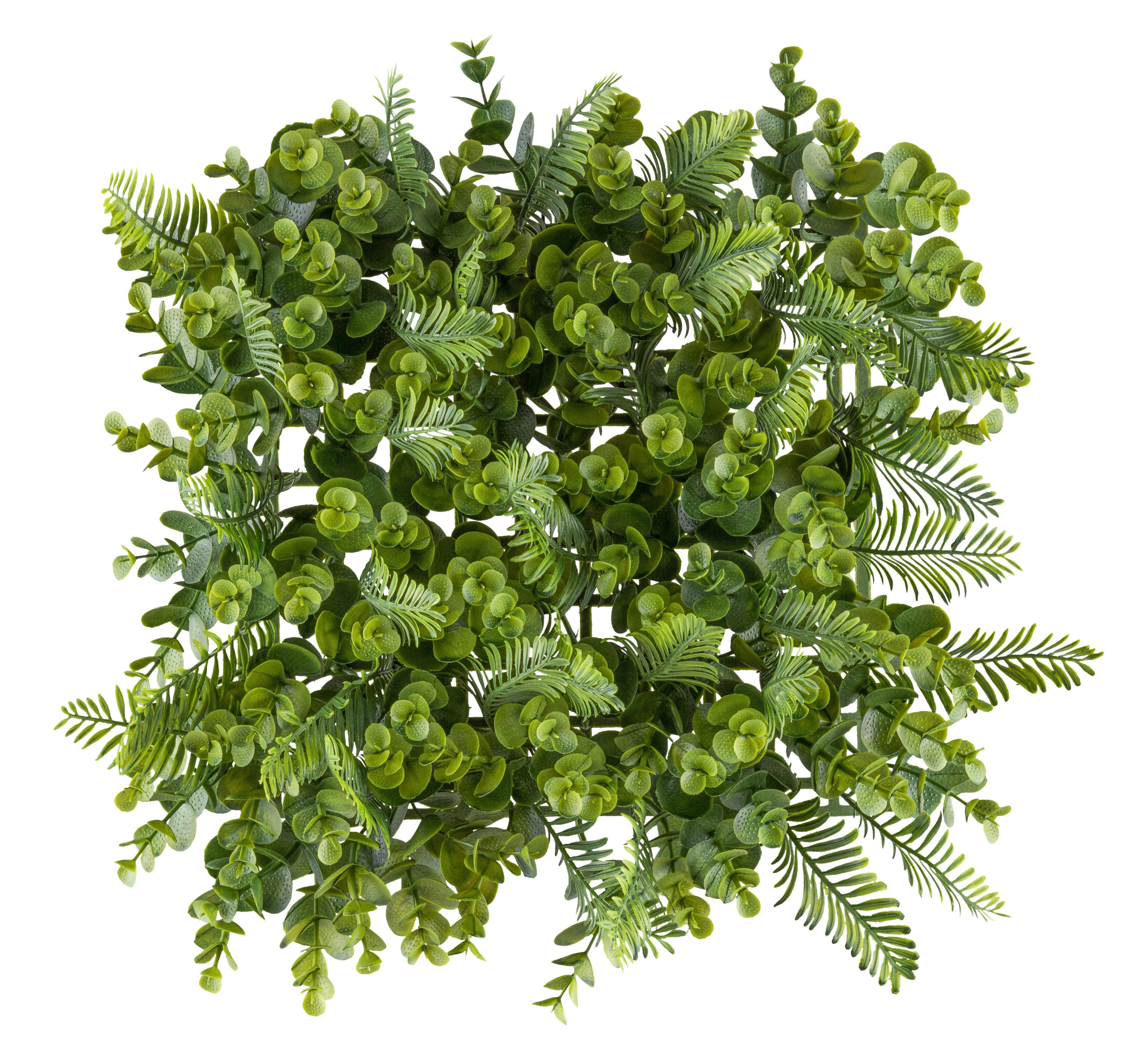 Umelá rastlina WANDMATTE, š/v: 25x25cm - zelená, Konventionell, plast (25/25cm) - Mömax