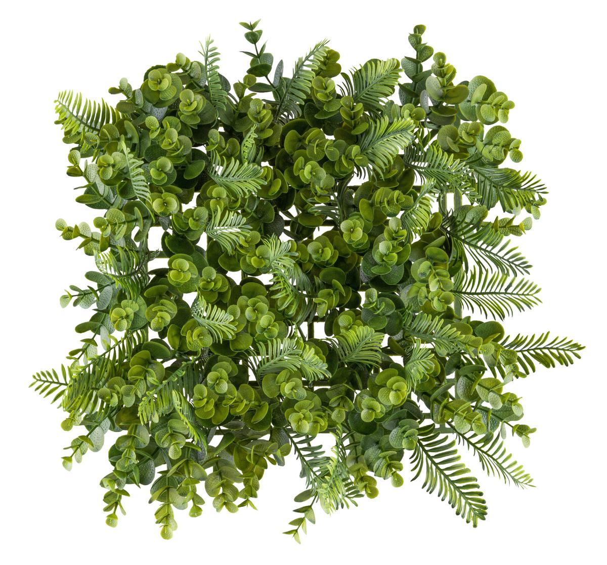 Umelá rastlina WANDMATTE, š/v: 25x25cm - zelená, Konventionell, plast (25/25cm) - Mömax